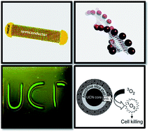 Graphical abstract: Multicomponent nanoarchitectures for the design of optical sensing and diagnostic tools