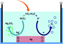 Graphical abstract: A new insight into the electrochemical growth of Ag nanodendrites without a strong electrolyte