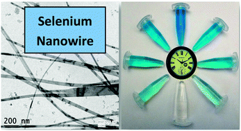 Graphical abstract: A facile synthesis of 1D nano structured selenium and Au decorated nano selenium: catalysts for the clock reaction