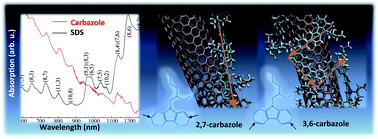 Graphical abstract: Morphology and dispersion of polycarbazole wrapped carbon nanotubes