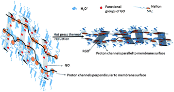 Graphical abstract: Highly efficient synthesis of reduced graphene oxide–Nafion nanocomposites with strong coupling for enhanced proton and electron conduction