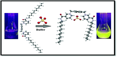 Graphical abstract: A fluorescent probe for the selective detection of sulfate ions in water