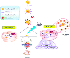 Graphical abstract: Acridine orange tethered chitosan reduced gold nanoparticles: a dual functional probe for combined photodynamic and photothermal therapy