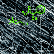 Graphical abstract: Development of antimicrobial Ion Jelly fibers