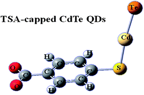 Graphical abstract: Synthesis of thiosalicylic acid-capped CdTe quantum dots