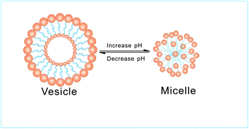 Graphical abstract: Synthesis and high-performance of a new sarcosinate anionic surfactant with a long unsaturated tail