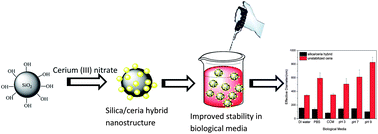 Graphical abstract: Silica supported ceria nanoparticles: a hybrid nanostructure to increase stability and surface reactivity of nano-crystalline ceria