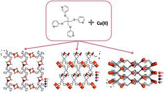 Graphical abstract: Construction of Cu(ii) coordination polymers based on semi-rigid tetrahedral pyridine ligands