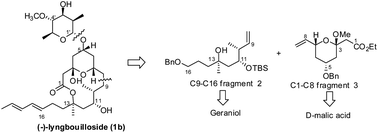 Graphical abstract: Stereoselective synthesis of the C1–C8 and C9–C16 fragments of revised structure of (−)-lyngbouilloside