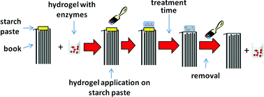 Graphical abstract: Versatile hydrogels: an efficient way to clean paper artworks