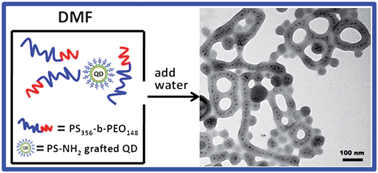 Graphical abstract: Encapsulation of semiconductor quantum dots into the central cores of block copolymer cylindrical and toroidal micelles