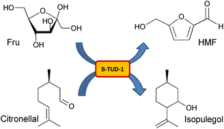 Graphical abstract: B-TUD-1: a versatile mesoporous catalyst