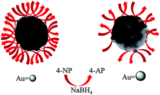 Graphical abstract: Preparation and characterization of magnetic gold shells using different sizes of gold nanoseeds and their corresponding effects on catalysis