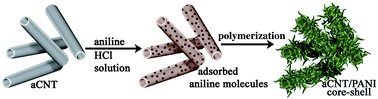 Graphical abstract: Amorphous carbon nanotube–polyaniline core–shell nanostructures for efficient cold cathode applications