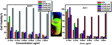 Graphical abstract: Chemically conjugated sophorolipids on CdTe QDs: a biocompatible photoluminescence nanocomposite for theranostic applications