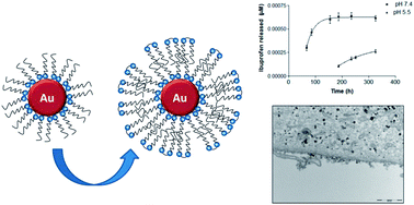 Graphical abstract: Water-soluble gold nanoparticles based on imidazolium gemini amphiphiles incorporating piroxicam