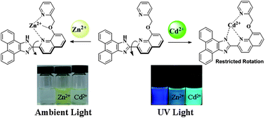 Graphical abstract: A two-in-one fluorescent sensor with dual channels to detect Zn2+ and Cd2+