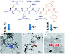 Graphical abstract: Biomimetic synthesis of inorganic nanocomposites by a de novo designed peptide