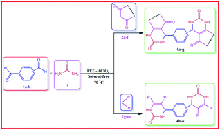 Graphical abstract: Unprecedented single-pot protocol for the synthesis of novel bis-3,4-dihydropyrimidin-2(1H)-ones using PEG-HClO4 as a biodegradable, highly robust and reusable solid acid green catalyst under solvent-free conditions