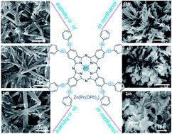 Graphical abstract: Morphology controlled nano-structures of an octa(phenoxy)-substituted phthalocyaninato zinc complex: solvent effect on the self-assembly behaviour