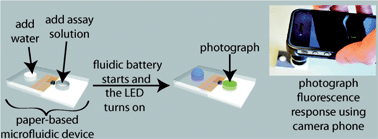 Graphical abstract: Quantitative fluorescence assays using a self-powered paper-based microfluidic device and a camera-equipped cellular phone