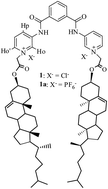 Graphical abstract: Ion conducting cholesterol appended pyridinium bisamide-based gel for the selective detection of Ag+ and Cl− ions