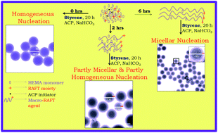 Graphical abstract: Tunable core–shell nanoparticles: macro-RAFT mediated one pot emulsion polymerization