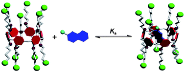 Graphical abstract: A cationic water-soluble pillar[6]arene: synthesis, host–guest properties, and self-assembly with amphiphilic guests in water