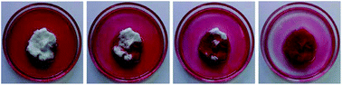 Graphical abstract: A foam-templated approach for fabricating organogels using a water-soluble polymer