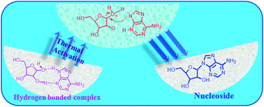 Graphical abstract: H-Bond activated glycosylation of nucleobases: implications for prebiotic nucleoside synthesis