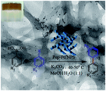 Graphical abstract: Peptide nanofibers decorated with Pd nanoparticles to enhance the catalytic activity for C–C coupling reactions in aerobic conditions