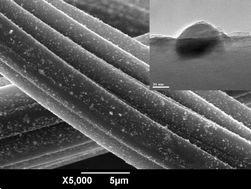 Graphical abstract: Green and facile fabrication of silver nanoparticles loaded activated carbon fibers with long-lasting antibacterial activity