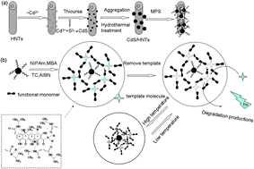 Graphical abstract: Synthesis of thermal-responsive photocatalysts by surface molecular imprinting for selective degradation of tetracycline