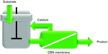 Graphical abstract: Separation of metathesis catalysts and reaction products in flow reactors using organic solvent nanofiltration