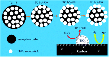 Graphical abstract: Preparation of carbon–TiO2 nanocomposites by a hydrothermal method and their enhanced photocatalytic activity