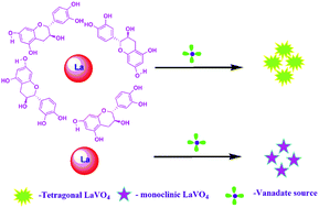 Graphical abstract: Tuned synthesis of doped rare-earth orthovanadates for enhanced luminescence