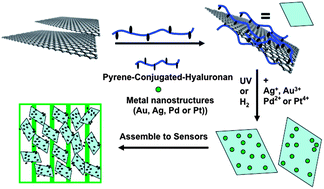 Graphical abstract: Functional noble metal nanostructures involving pyrene-conjugated-hyaluronan stabilised reduced graphene oxide