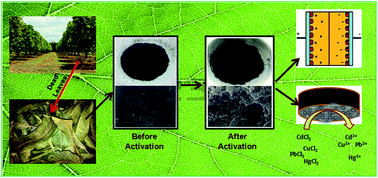 Graphical abstract: Eco-friendly synthesis of activated carbon from dead mango leaves for the ultrahigh sensitive detection of toxic heavy metal ions and energy storage applications