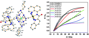 Graphical abstract: Low dimensional cyano-bridged heterobimetallic M–FeIII (M = NiII, CuII) complexes constructed from Mer-[FeIII(qcq)(CN)3]− building blocks: syntheses, structures and magnetic properties