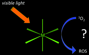 Graphical abstract: New avenues in the design and potential application of metal complexes for photodynamic therapy