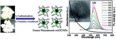 Graphical abstract: Gram scale synthesis of green fluorescent water-soluble onion-like carbon nanoparticles from camphor and polystyrene foam