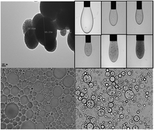 Graphical abstract: Microgel-stabilised non-aqueous emulsions