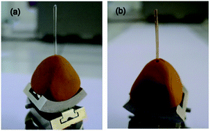 Graphical abstract: Structure and dynamics of guest molecules confined in a mesoporous silica matrix: Complementary NMR and PDF characterisation