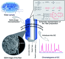 Graphical abstract: Silicon dioxide–poly(dimethylsiloxane) with a bilayer structure, incorporating multi-walled carbon nanotubes, supported on stainless steel wire as a solid-phase microextraction fiber for the determination of trace phthalate esters in drinking water samples
