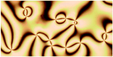 Graphical abstract: Imaging liquid crystal defects