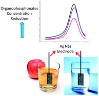 Graphical abstract: Dual localized scanning plasmon resonance and electrochemical investigations of organophosphorus insecticides presence