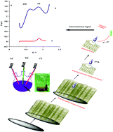 Graphical abstract: Magnetic nanoparticles incorporated on functionalized mesoporous silica: an advanced electrochemical sensor for simultaneous determination of amiodarone and atenolol