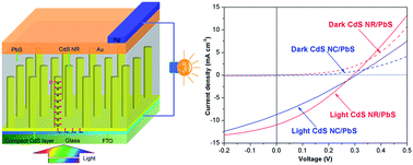 Graphical abstract: Embedded CdS nanorod arrays in PbS absorber layers: enhanced energy conversion efficiency in bulk heterojunction solar cells