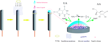 Graphical abstract: Amperometric detection of hydrogen peroxide using a nanofibrous membrane sputtered with silver