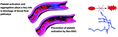 Graphical abstract: Antithrombogenic properties of a nitric oxide-releasing dextran derivative: evaluation of platelet activation and whole blood clotting kinetics